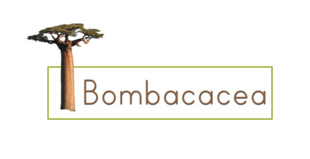 BOMBACACEA COLOMBIA.